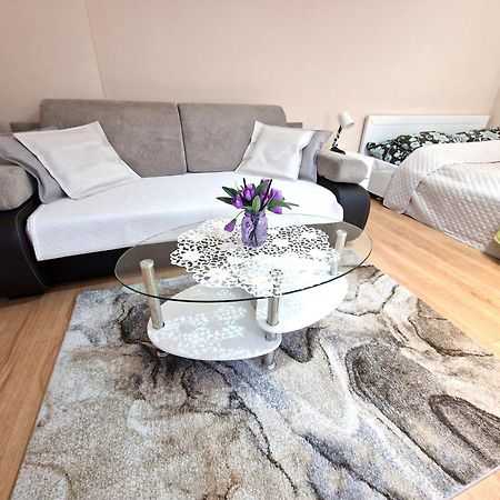 Aparthouse Apartamenty Centrum Σοσνόβιετς Εξωτερικό φωτογραφία